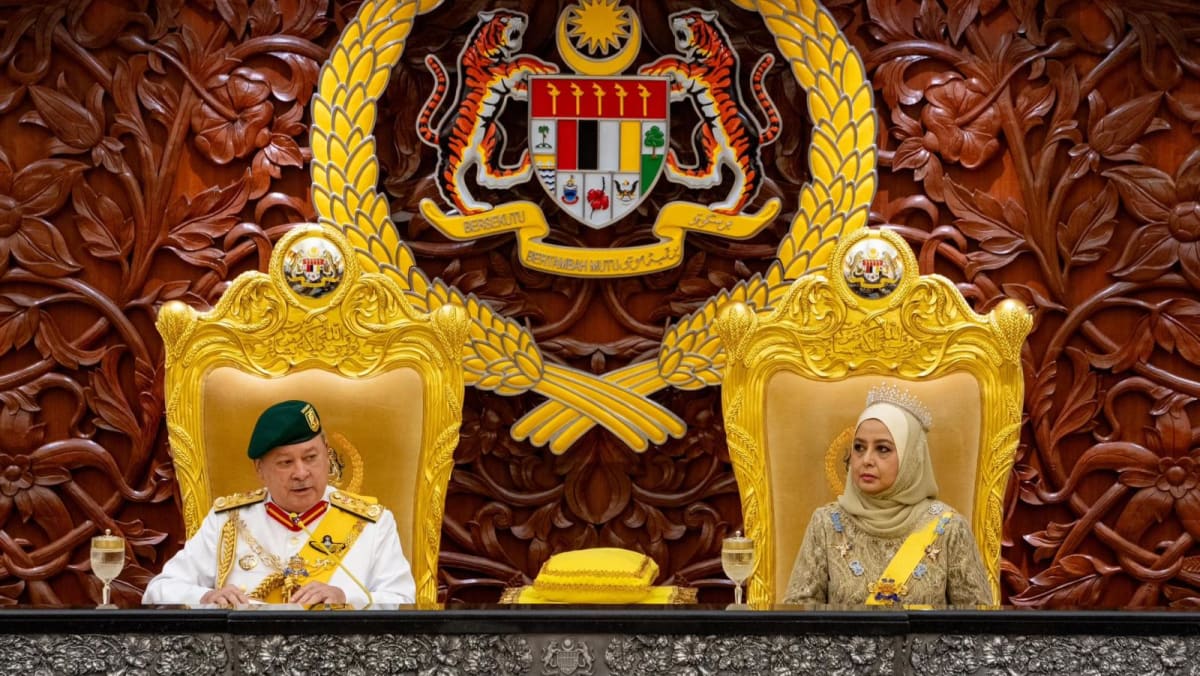 马来西亚总理安瓦尔因国王强调政治稳定并参与经济议程而感到“宽慰”