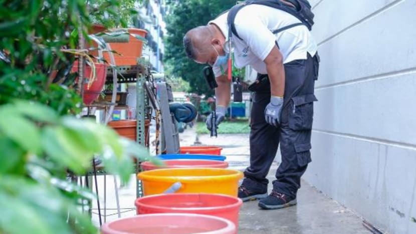 NEA takes enforcement action as 'egregious mosquito breeding' continues NEA takes enforcement action as 'egregious mosquito breeding' continues
