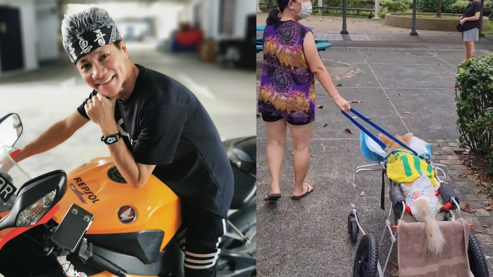 Wang Lei Shares Touching Vid Of His Neighbour Going On A Walk With Her Paralysed Dog Wang Lei Shares Touching Vid Of His Neighbour Going On A Walk With Her Paralysed Dog