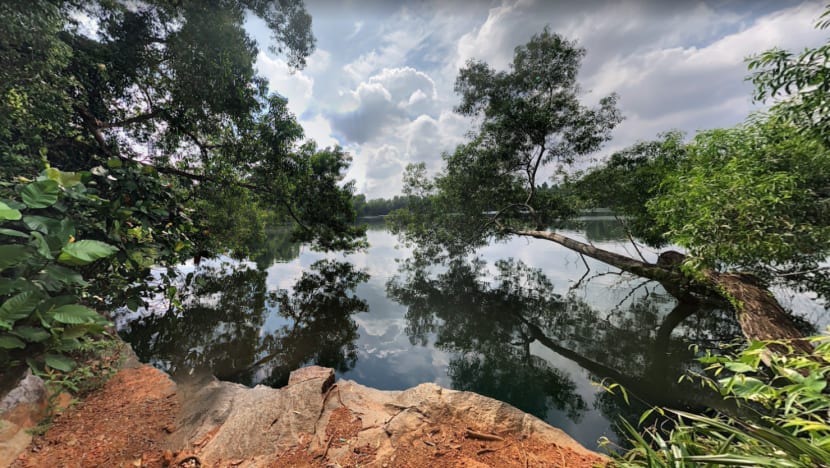 Search ongoing for off-duty NSF firefighter missing in Pulau Ubin