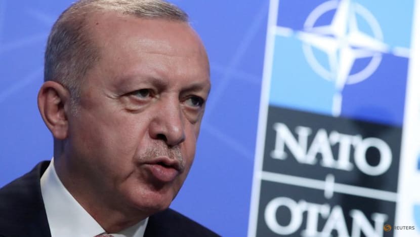Erdogan says Turkey not supportive of Finland, Sweden joining NATO Erdogan says Turkey not supportive of Finland, Sweden joining NATO