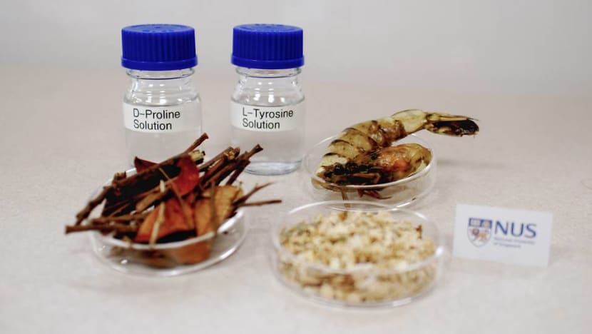 NUS researchers find a way to turn tree branches and prawn shells into supplements and medicine NUS researchers find a way to turn tree branches and prawn shells into supplements and medicine