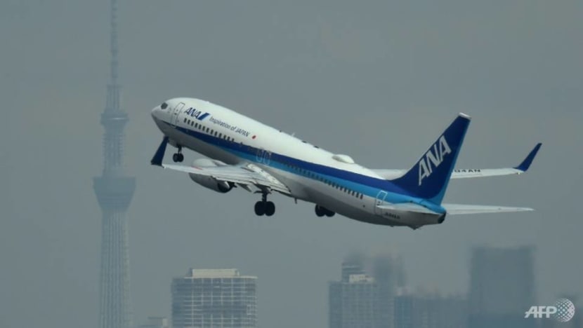 Japan's ANA aims for carbon neutrality by 2050