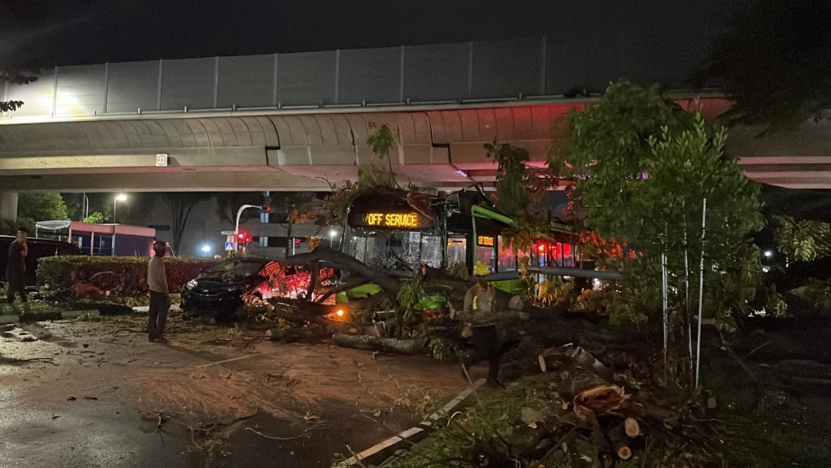 Trees felled by strong winds as heavy rain hit Singapore Trees felled by strong winds as heavy rain hit Singapore