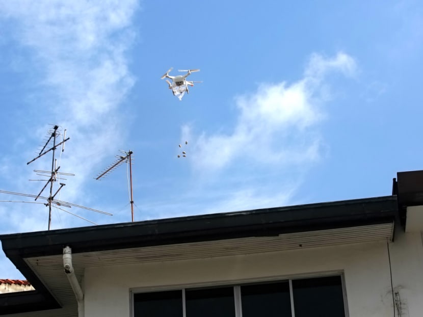 Photo of the day: A drone releases a solid biological agent used in dengue control during a demonstration at Jalan Lembah Thomson on June 23, 2019. Drones are used in dengue control operations for surveillance and to release chemicals in hard-to-reach areas.