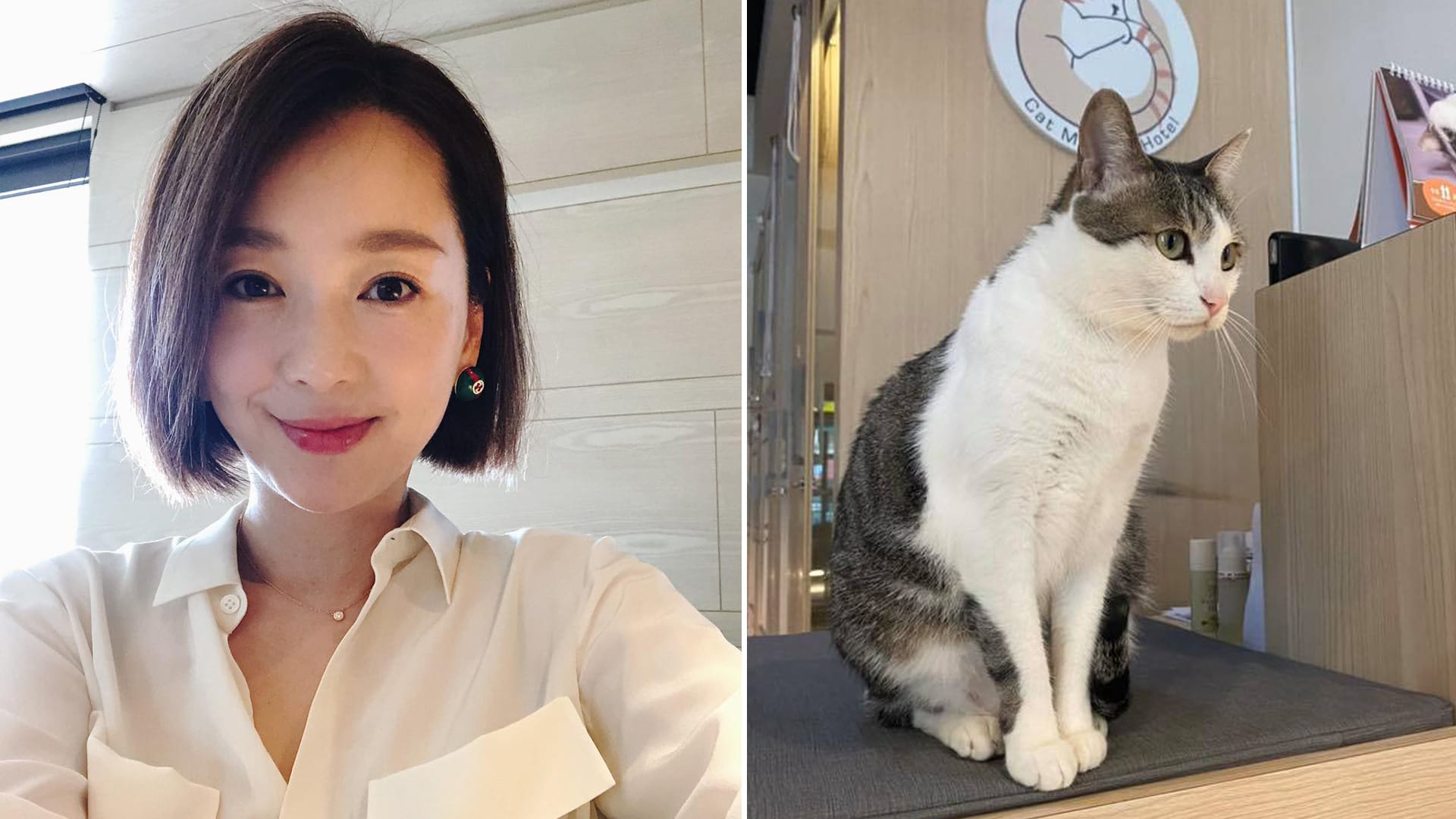 Taiwanese Actress Liu Yue Denies Abandoning Her Cat After Netizens Come Down Hard On Her