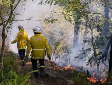 New South Wales Rural Fire Service firefighters walk through a hazard reduction burn in Sydney, Australia, on Sept 10, 2023.
