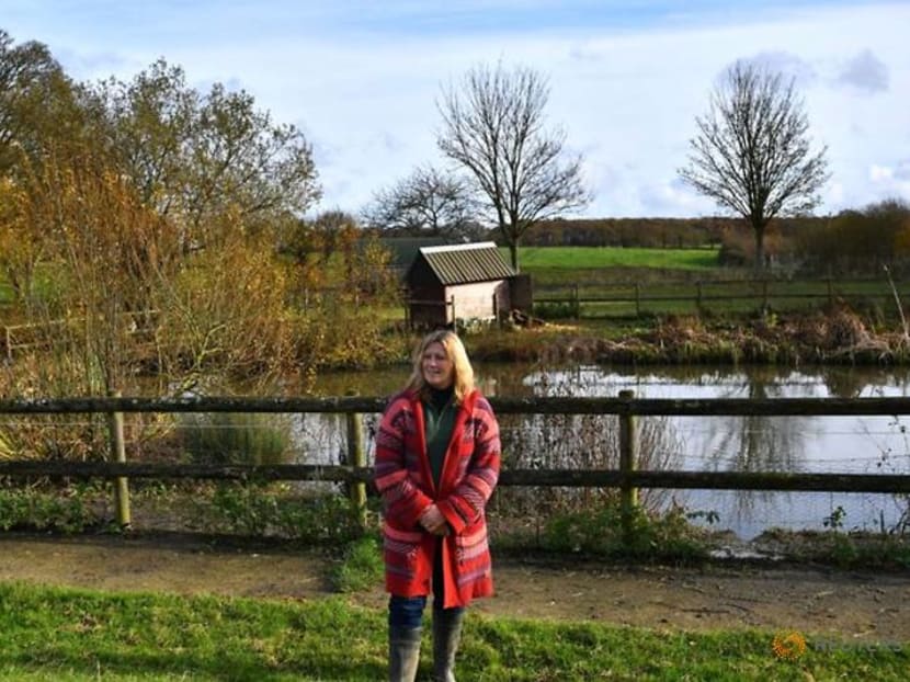 'The cow can't tell my secrets' - UK care farms a lifeline during pandemic 'The cow can't tell my secrets' - UK care farms a lifeline during pandemic