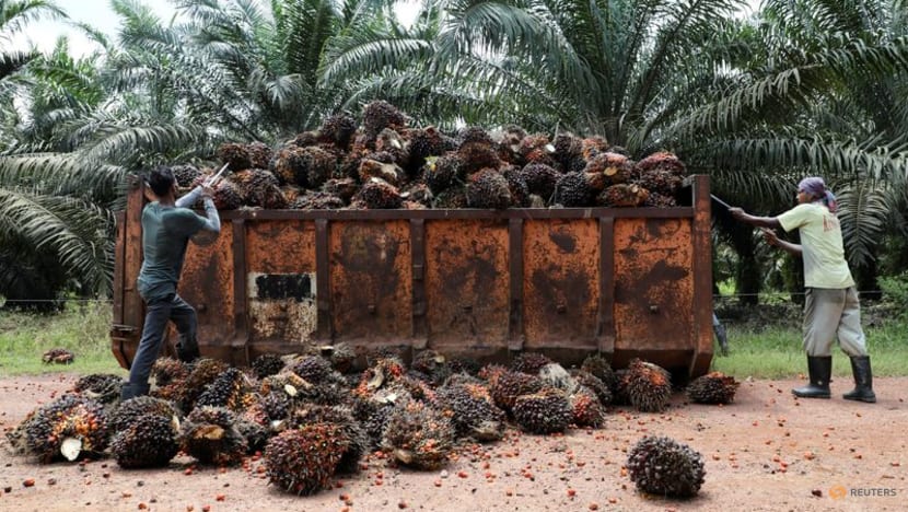 Malaysia end-June palm oil stocks hit 7-month high as exports drop