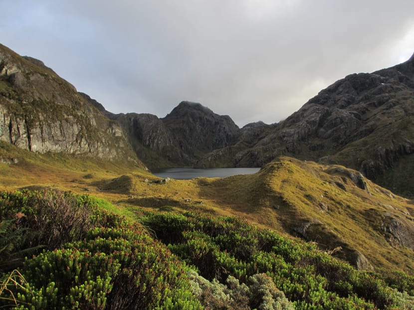 Hiking the Great Walks on New Zealand's rugged South Island