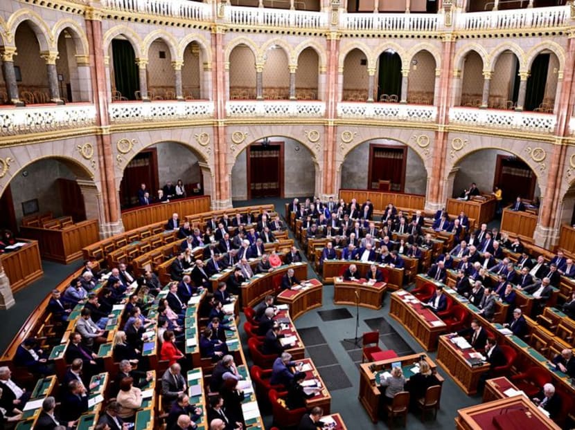 Hungary parliament backs Finland's NATO accession, Swedish bid pending