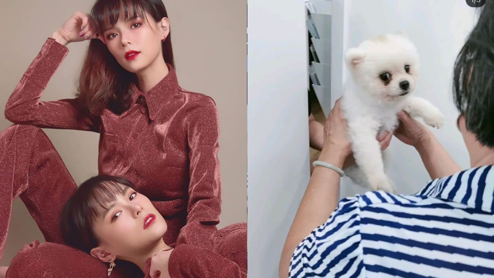 Jayley Woo’s Dog Suffers From Asthma And Heart Problems; Vet Says It “May Go Anytime” Jayley Woo’s Dog Suffers From Asthma And Heart Problems; Vet Says It “May Go Anytime”