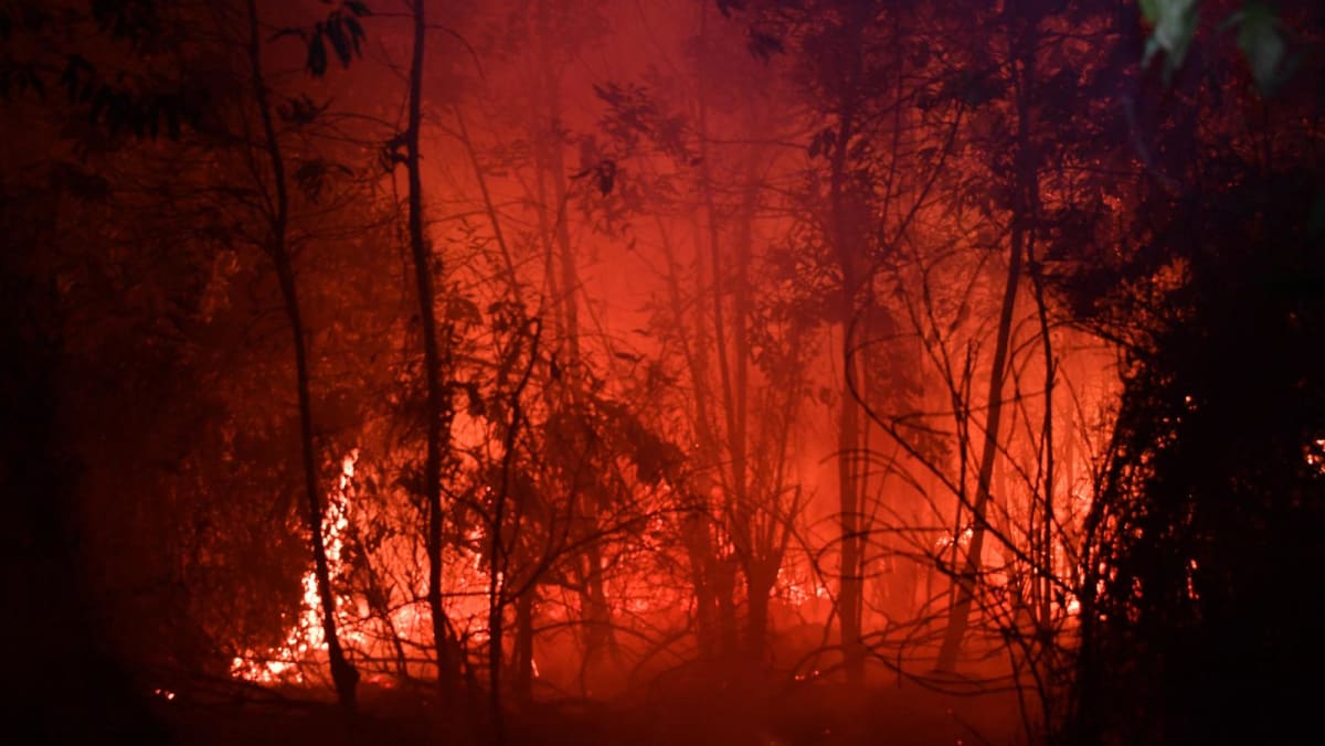 Indonesia sees rising wildfire risk amid dry weather conditions