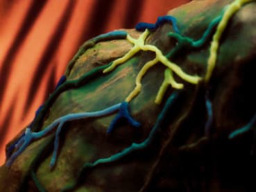 The quiet scientific revolution that may finally solve chronic pain