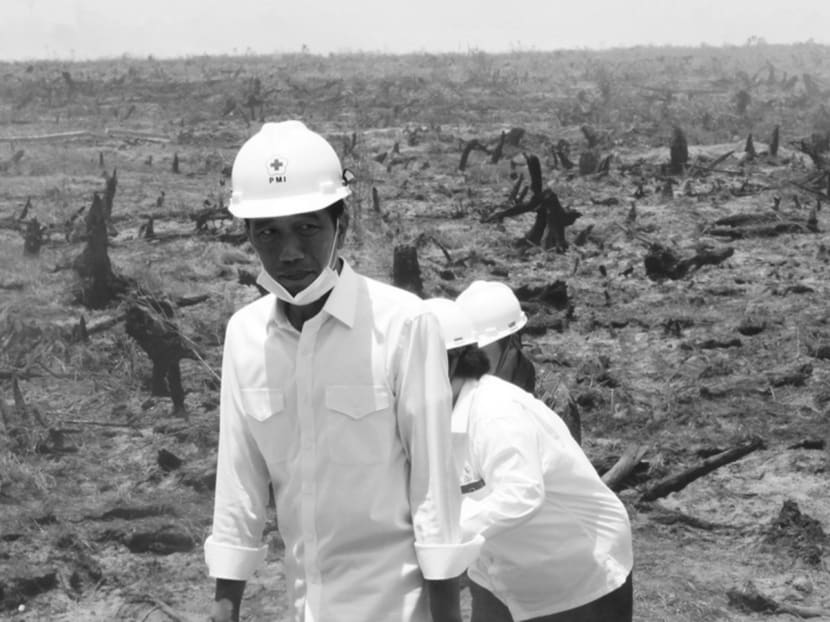 Indonesian President Joko Widodo inspecting the aftermath of a forest fire in south Kalimantan. Last year, when the haze was at its worst, the President went to the ground for a first-hand look at the forest fires. Photo: Reuters