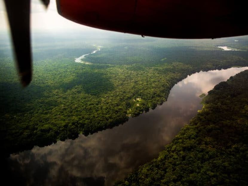 The Amazon is on fire. So is Central Africa The Amazon is on fire. So is Central Africa