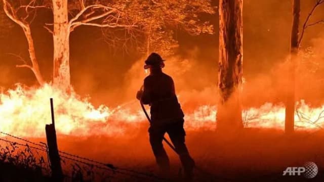 美国研究：气候变化显著提高了山火发生率