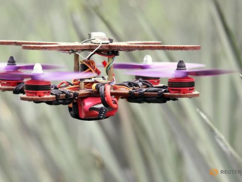 Malaysian team turns pineapple waste into disposable drone parts Malaysian team turns pineapple waste into disposable drone parts