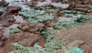 Scientists make 'disturbing' find on remote island: Plastic rocks