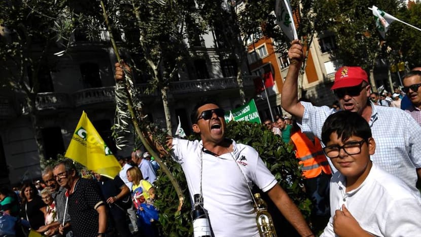 Trump puts squeeze on Spanish olive oil producers Trump puts squeeze on Spanish olive oil producers
