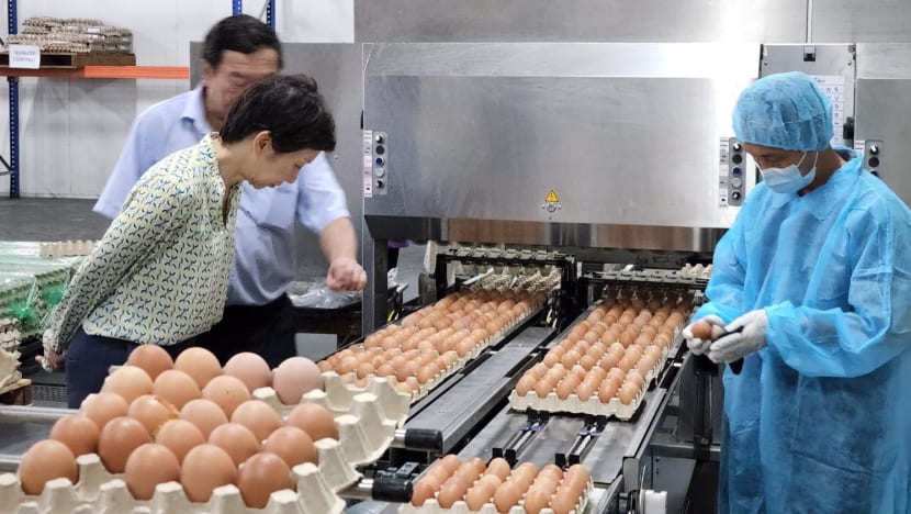 Singapore to begin importing chicken eggs from Brunei, further diversifying its food sources