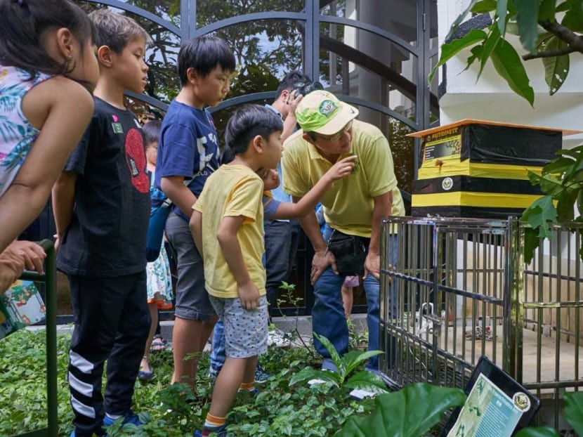 Local beekeeper Xavier Tan conducting the first urban bee garden workshop at Temasek Shophouse in Orchard Road on Dec 17, 2019.