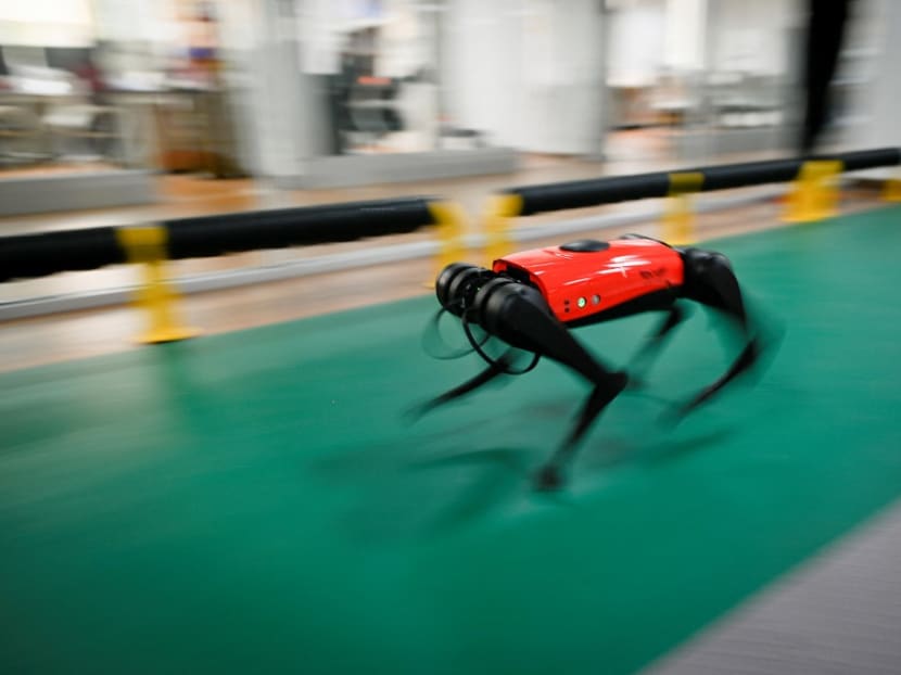 This picture taken on April 2, 2021 shows an AlphaDog quadruped robot running in a workshop at the Weilan Intelligent Technology Corporation in Nanjing, China's Jiangsu province.