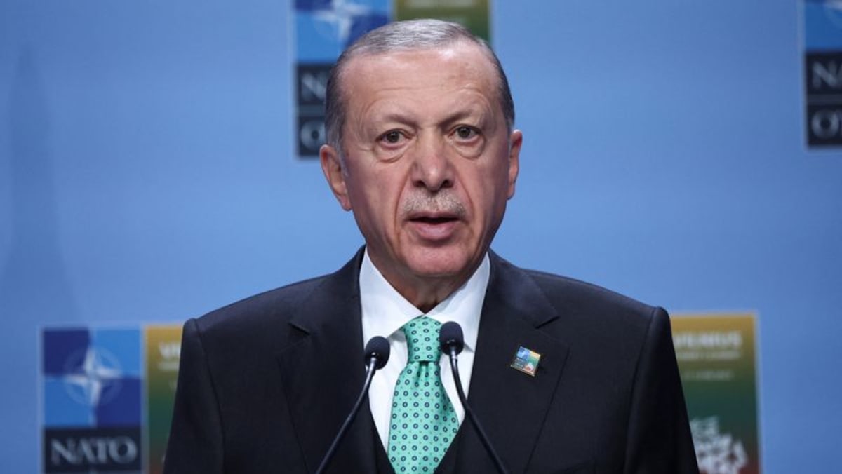Erdogan says he will try to facilitate Sweden’s NATO bid ratification Erdogan says he will try to facilitate Sweden’s NATO bid ratification