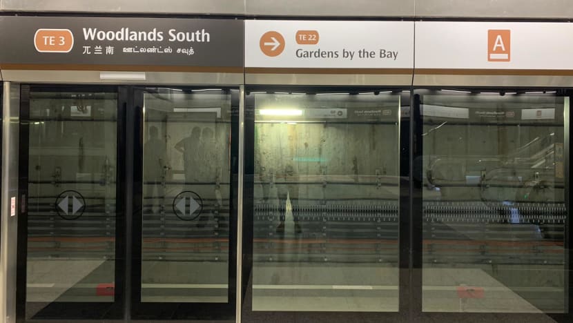 Dozens of commuters caught inside stalled train after fault causes delay on TEL Dozens of commuters caught inside stalled train after fault causes delay on TEL