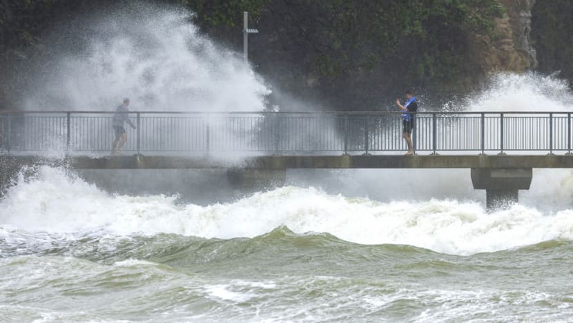 new zealand storm 50726