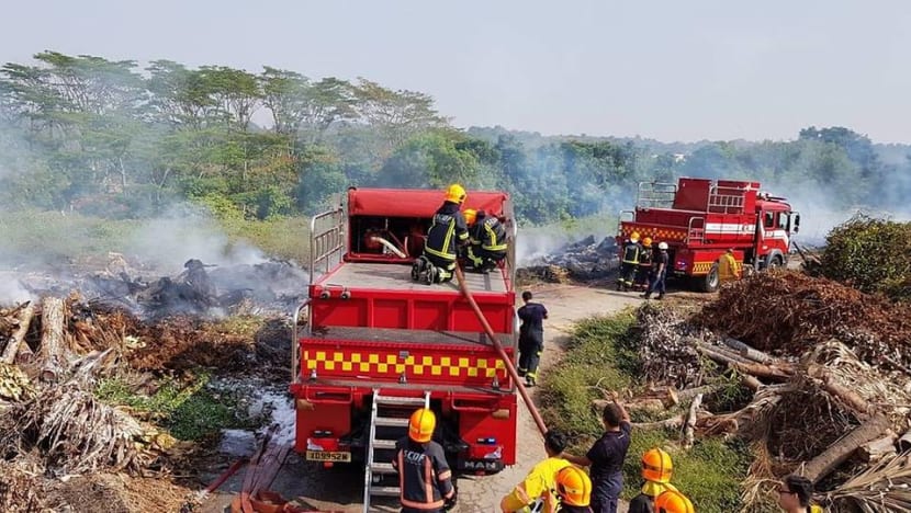 NParks developing forest fire detection and monitoring system for nature reserves NParks developing forest fire detection and monitoring system for nature reserves