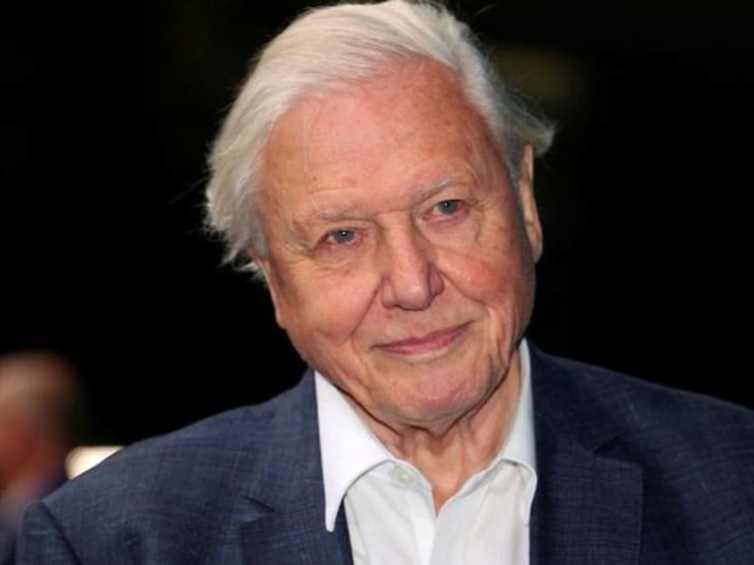 The joy of birdsong graces David Attenborough's lockdown The joy of birdsong graces David Attenborough's lockdown