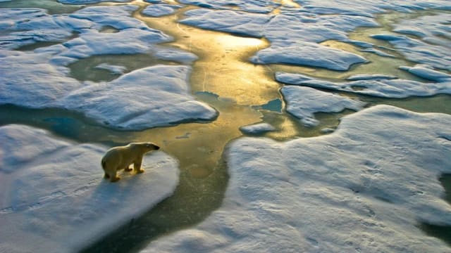 调查：全球平均气温创记录 未来极端气候或加剧