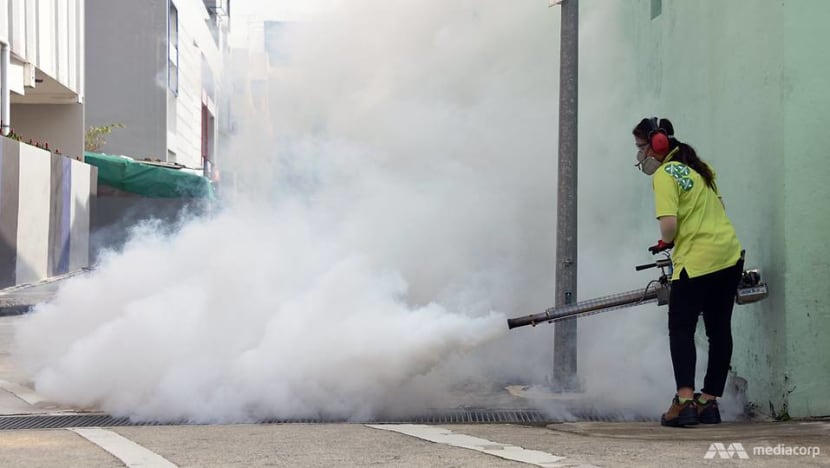 Dengue cases down, but rise in mosquito population may lead to another surge: NEA Dengue cases down, but rise in mosquito population may lead to another surge: NEA