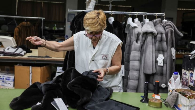 Greece's fur industry on the brink as EU sanctions on Russia bite Greece's fur industry on the brink as EU sanctions on Russia bite