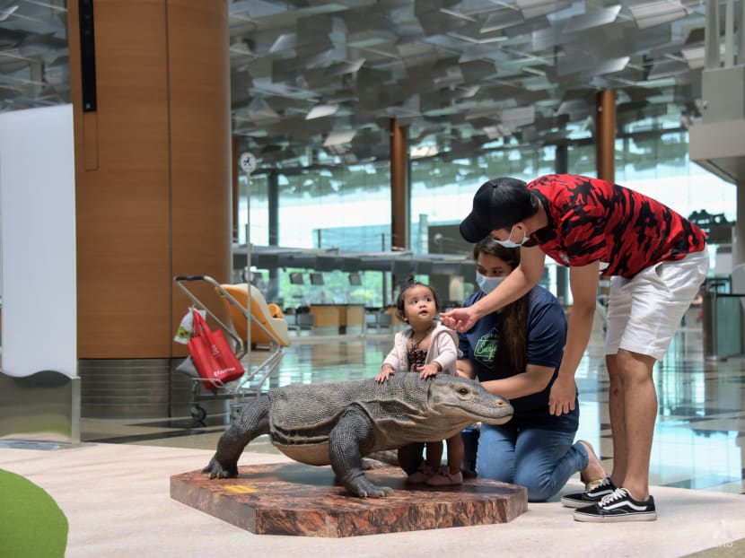 Taking your kids abroad through vaccinated travel lanes: What you need to know Taking your kids abroad through vaccinated travel lanes: What you need to know