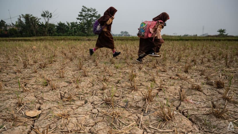 Indonesia braces for prolonged drought, clean water shortage and crop failure due to El Nino