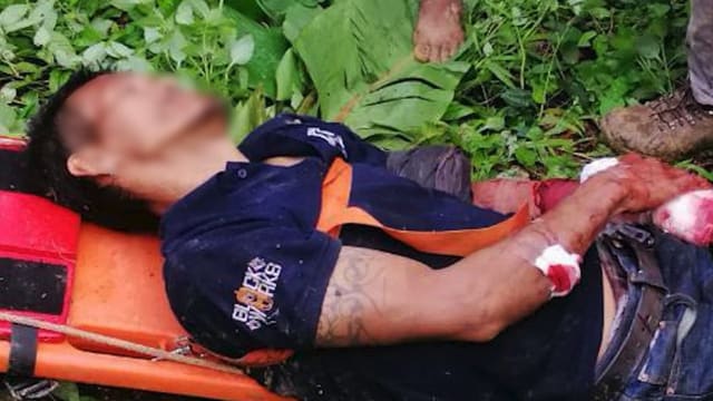 在路边撒尿突遭猴子围攻 泰国男不慎坠崖重伤