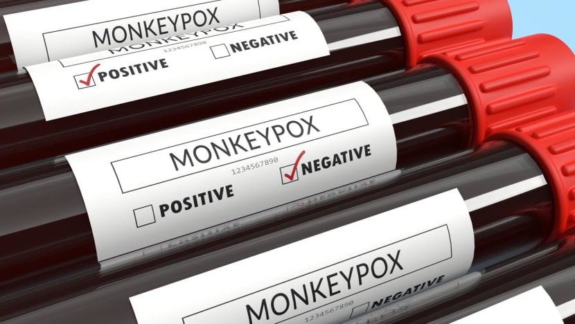 Monkeys under attack in Brazil amid rising monkeypox fears Monkeys under attack in Brazil amid rising monkeypox fears