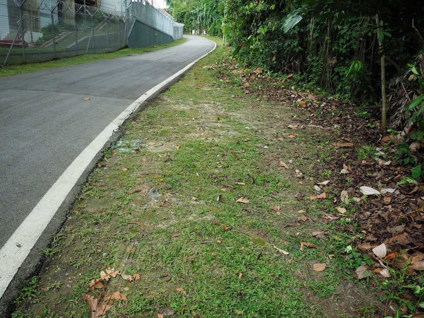 Location near Bukit Timah Nature Reserve where the body of a woman and child were found the morning of Nov 14, 2019. Location near Bukit Timah Nature Reserve where the body of a woman and child were found the morning of Nov 14, 2019.