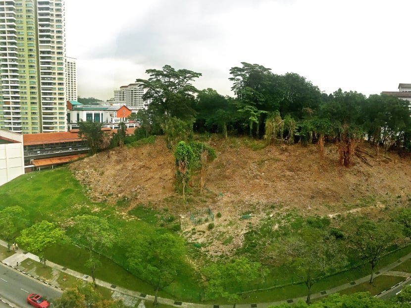 A swathe of trees and vegetation has been cleared from the forested hill next to Bukit Batok MR T Station to remove rat burrows and rid stray dogs of hiding places. The vegetation, however, will be replanted. The site made headlines in December for an infestation that saw the hill crawling with rodents. Photo: Tristan Loh