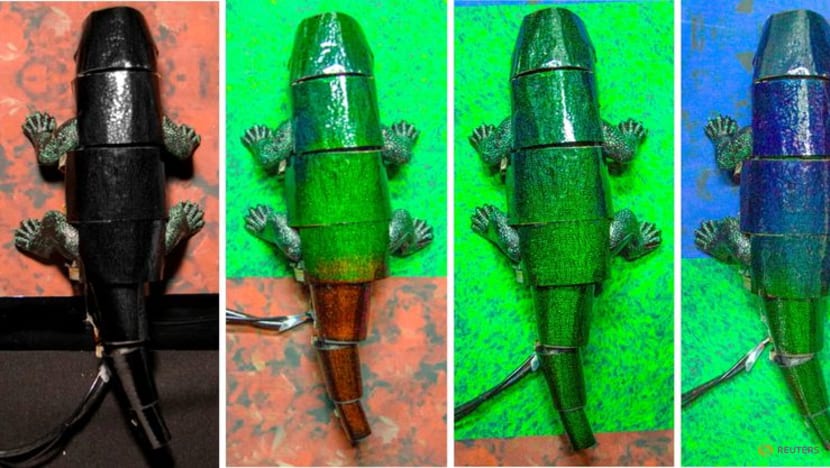 South Korean researchers create chameleon-like artificial "skin" South Korean researchers create chameleon-like artificial "skin"