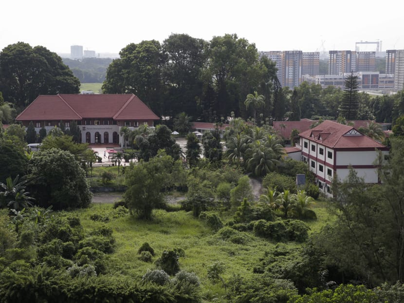 Sembawang sports and community hub development: Some trees to go but more will be planted to retain landscape Sembawang sports and community hub development: Some trees to go but more will be planted to retain landscape