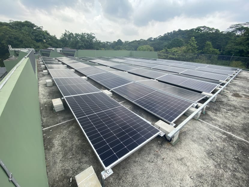 Mandai set to become first carbon-neutral precinct in Singapore by 2024 Mandai set to become first carbon-neutral precinct in Singapore by 2024
