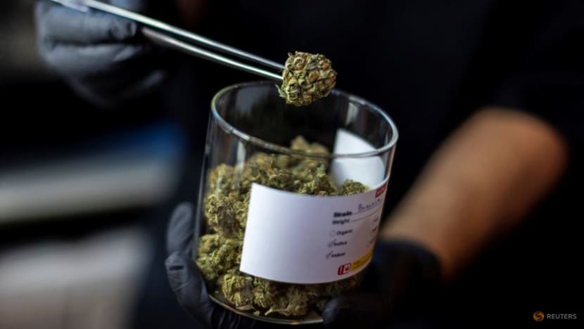 Thailand legalises growing, consumption of marijuana Thailand legalises growing, consumption of marijuana