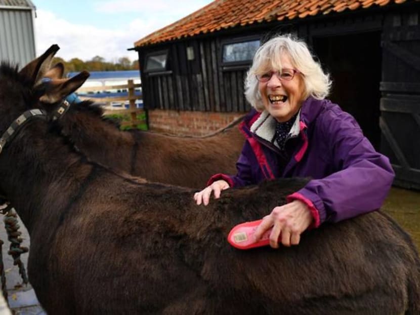 'The cow can't tell my secrets' - UK care farms a lifeline during pandemic 'The cow can't tell my secrets' - UK care farms a lifeline during pandemic