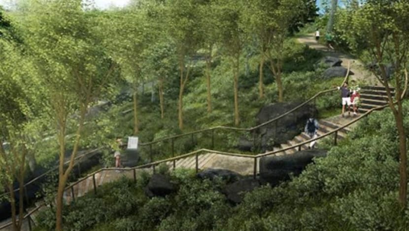 New ridge walk opens at Singapore Botanic Gardens as part of Gallop extension
