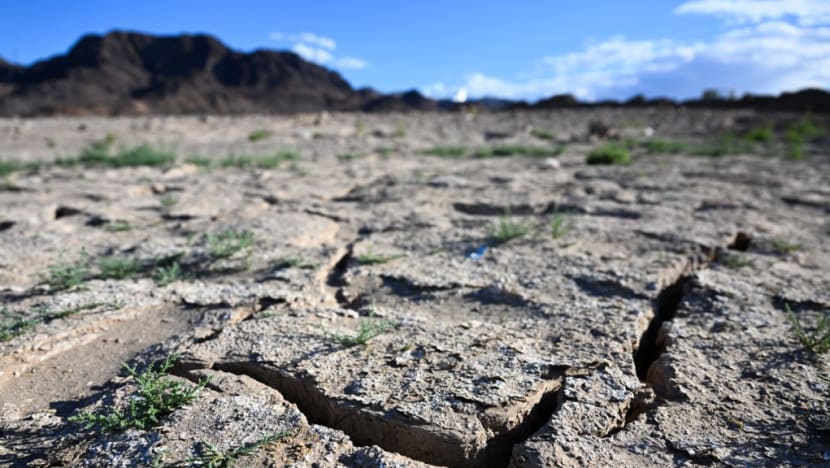 US cuts water allowance for some states, Mexico as drought bites US cuts water allowance for some states, Mexico as drought bites