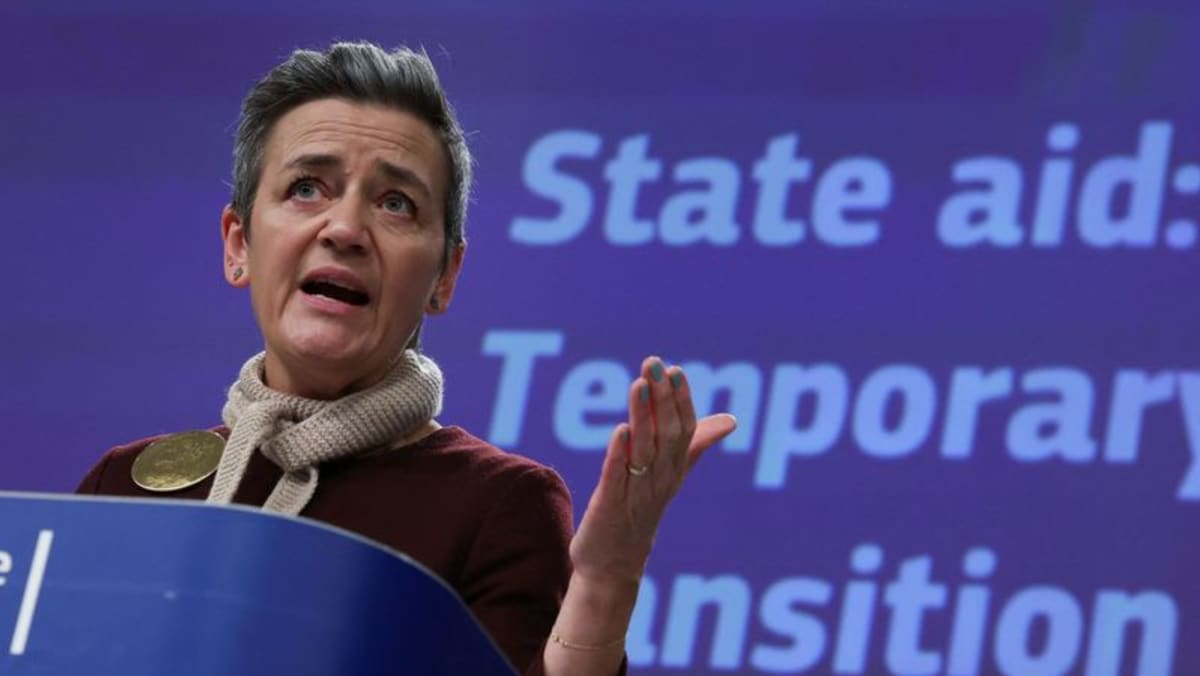 EU competition chief flags fresh probes into multinationals' tax deals