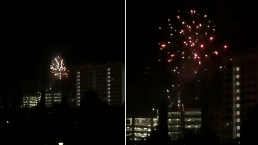 Man jailed, fined for setting off fireworks on Deepavali and lying about it Man jailed, fined for setting off fireworks on Deepavali and lying about it